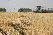 В Волгодонске появится завод по глубокой переработке зерна