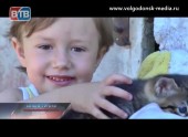 Девятая благотворительная акция Телекомпании ВТВ «Улыбка ребенка» подошла к своему завершению