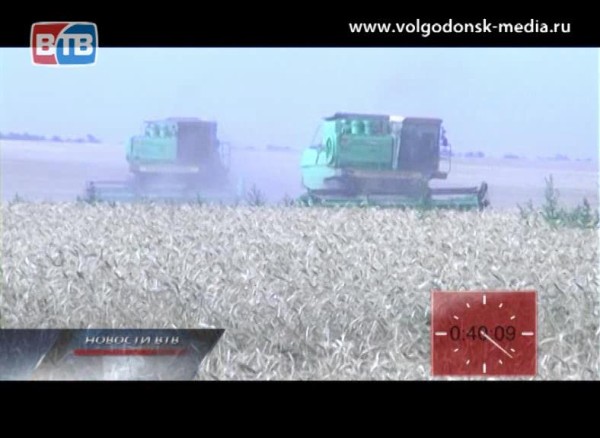 В Ростовской области, засуха уничтожила 150 тысяч гектар сельхозкультур