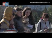 Волгодонские защитники животных присоединились к всероссийской антимеховой акции