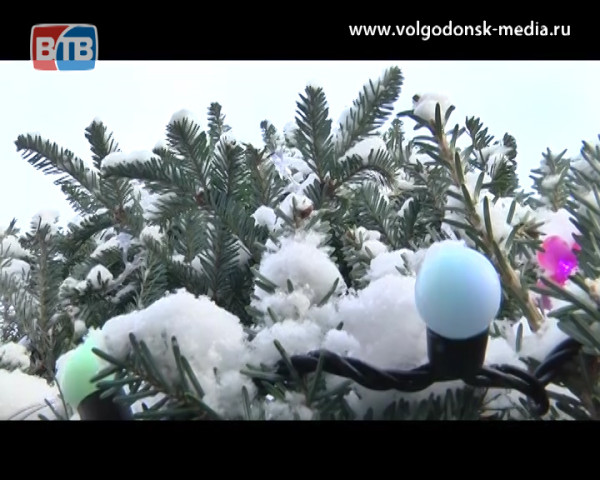 В Волгодонске выберут лучшую новогоднюю елку