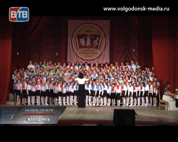 Год культуры в Волгодонске официально открыт