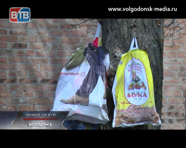 Жители улицы Химиков встречают весну, наряжая деревья пакетами с мусором