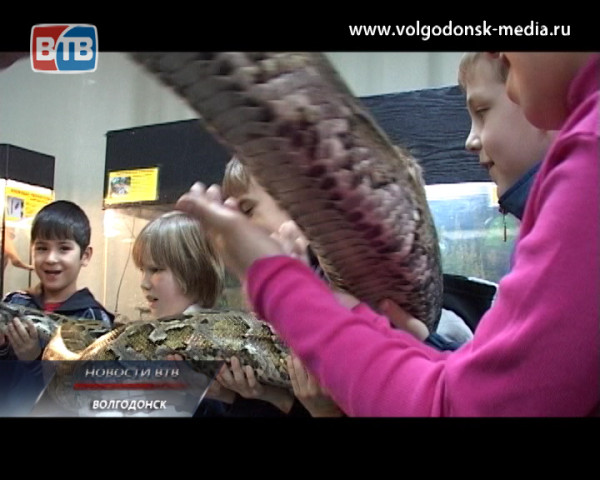 Московскую выставку экзотических животных и тропических бабочек посетили воспитанники детского приюта «Аистенок»