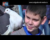 В Волгодонске во второй раз пройдет выставка голубей и летных птиц
