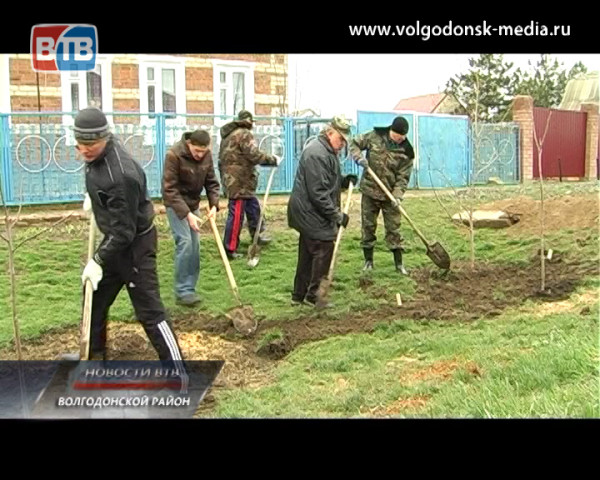 Более 850 лип высадили жители Волгодонского района в рамках Дня Древонасаждения на Дону