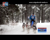 Житель Волгодонска занял четвертое место в гонках на собачьих упряжках
