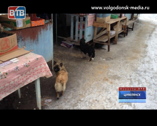 Ряд грубых нарушений в работе цимлянского рынка выявили ветеринарные инспекторы