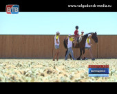 В Волгодонске открылся центр ипотерапии для детей с нарушениями здоровья «Добрая лошадка»