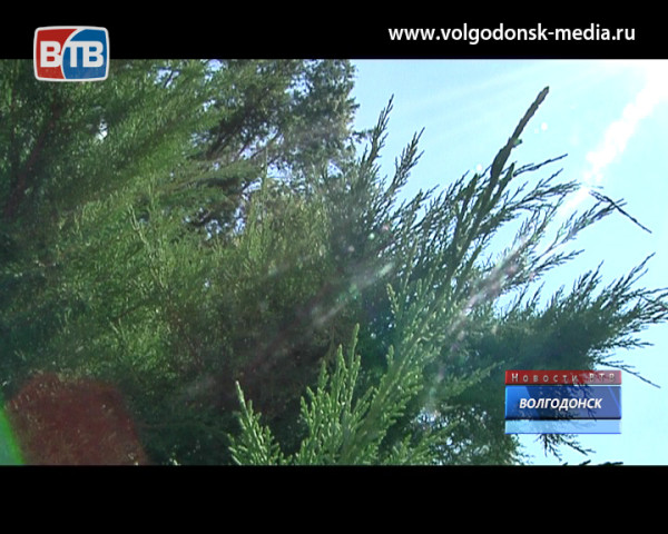 В пятницу и в выходные в Волгодонске и области ожидается аномальная жара