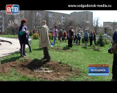 В Волгодонске стартовала акция «Дерево памяти», приуроченная к празднованию Дня Победы