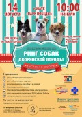 В Волгодонске состоится выставка беспородных собак