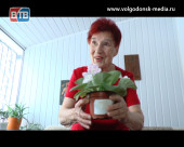 Врач Валентина Рудольская отмечает 90-летний юбилей