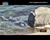 Осторожно! В водах Цимлянского водохранилища найдены колифаги!