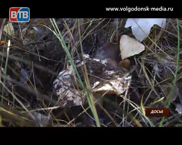 В Волгодонске два человека отравились дикорастущими грибами