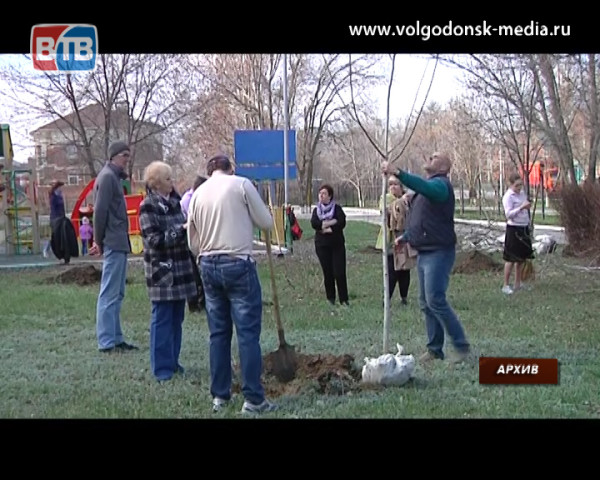 В Волгодонске пройдет общеобластной субботник и День древонасаждения