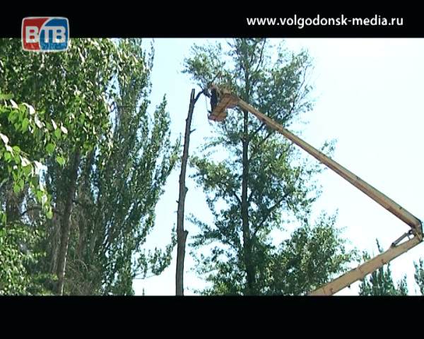В Волгодонске проводятся работы по спилу аварийно-опасных, сухих деревьев