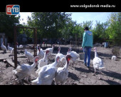 Как в Волгодонске реализуется помощь горожанам в рамках социального контракта