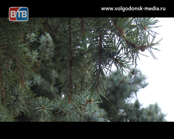 Пасмурно и дождливо: о погоде в Волгодонске на предстоящие выходные