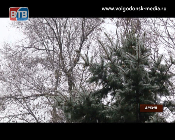 Пасмурно и ветрено: о погоде в Волгодонске на предстоящие выходные