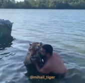 Известный «воспитатель» диких кошек Михаил Зарецкий искупался с тигром в Дону