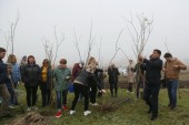 В День древонасаждений в Волгодонске и окрестностях высадили более 850 деревьев и кустарников