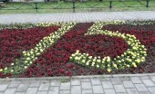 Департамент строительства и городского хозяйства: 1 июня в Волгодонске стартует городской конкурс «Радуга цветов»