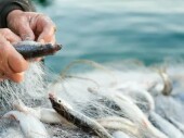Более 360 уголовных дел возбудили в апреле и мае за незаконный вылов рыбы в Ростовской области