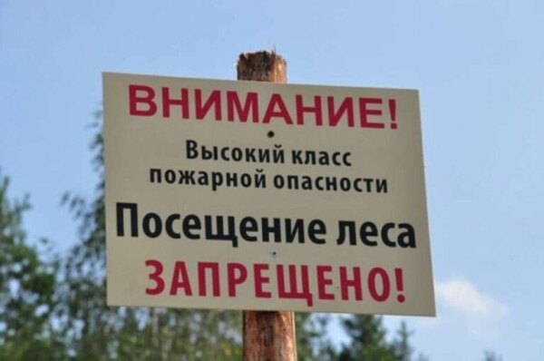 В Ростовской области введен режим ограничения пребывания граждан в лесах