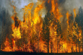 При пожарах в Ростовской области пострадали 46 человек