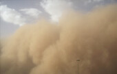 Песчаная буря пришла в Ростовскую область из Калмыкии и Казахстана