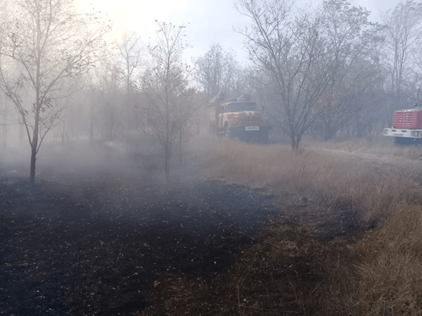 Полиция задержала угонщика автомобиля, из-за которого сгорело 330 га леса в Цимлянском районе