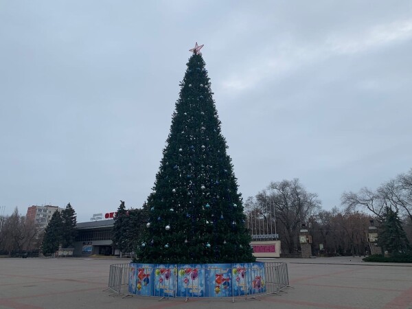 С 1 декабря в Волгодонске начнется установка новогодних елей