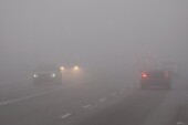 В Ростовской области сильный туман затрудняет видимость на дорогах