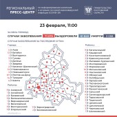 Число подтверждённых инфицированных коронавирусом увеличилось в Ростовской области на 309