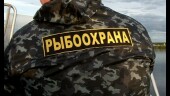 В Ростовской области браконьера осудили за нападение на инспектора рыбоохраны