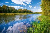Для оздоровления реки Дон Ростовская область предложила 239 мероприятий