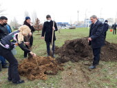 Комфорт в Волгодонске зависит от каждого: в День древонасаждений в городе высадили больше пяти с половиной тысяч деревьев и кустарников