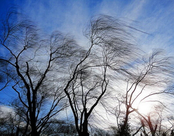 В Ростовской области ветер усилится до 18 метров в секунду