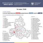 Число подтверждённых инфицированных коронавирусом увеличилось в Ростовской области на 204