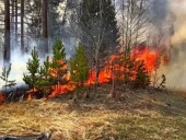 Осужден угонщик машины, по вине которого в Цимлянском районе сгорел лес