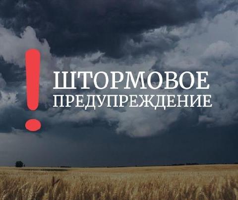 В Ростовской области МЧС объявило экстренное предупреждение о штормовом ветре и ливнях