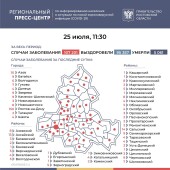Число подтверждённых случаев коронавируса увеличилось в Ростовской области на 379