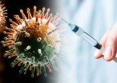 Вакцина от коронавируса – надежный щит на пути развития опасной инфекции