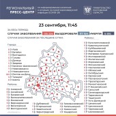 Число подтверждённых случаев COVID-19 увеличилось в Ростовской области на 469