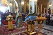 В праздник Покрова Пресвятой Богородицы в храмах Волгодонской епархии прошли молебны с крестным ходом о болящих и врачах