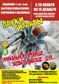 Выставка живых пауков, скорпионов и насекомых