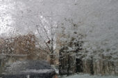 Снег с дождём накроют Ростовскую область на выходных
