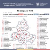 Число инфицированных COVID-19 на Дону выросло на 4629