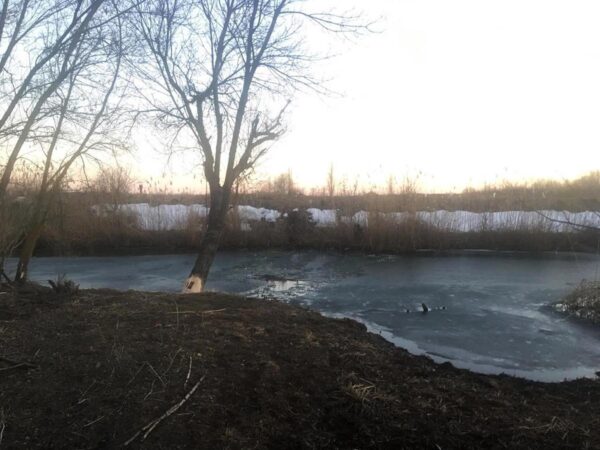 В Ростовской области двух маленьких девочек нашли мертвыми посреди реки